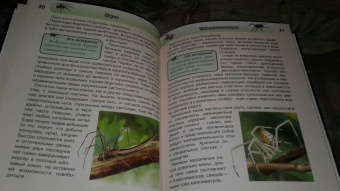 Людмила Соколова: Хочу знать. Пауки