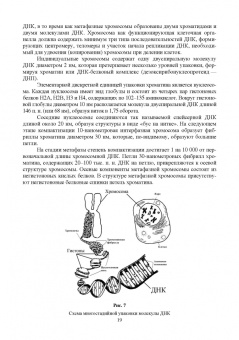 Уколов, Шараськина: Ветеринарная генетика. Учебник для вузов