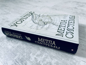 Дэвид Уоллес: Метла системы