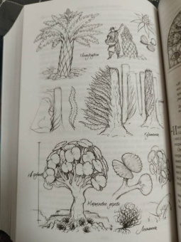 Брендон Сандерсон: Архив Буресвета. Книга 1. Путь королей