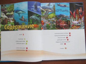 Жизнь животных. Моря и океаны