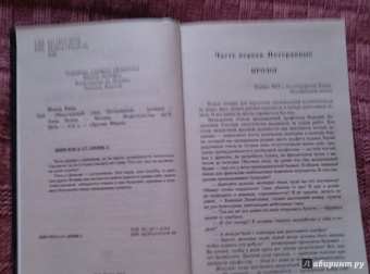 Анна Невер: Обжигающий след. Потерянные