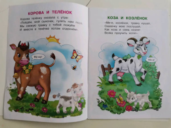 Ирина Шестакова: Домашние животные