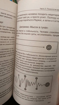 Рами Блект: Три энергии. Забытые каноны здоровья и гармонии