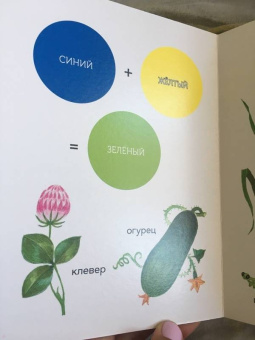 Елена Ивановская: Моя первая книжка о цвете