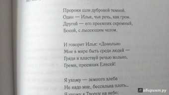 Игорь Северянин: Уснувшие весны. Критика. Мемуары. Скитания