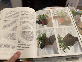 Екатерина Кузнецова: Растущие в темноте. Комнатные растения для укромных уголков вашего дома