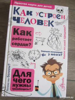 Борис Сергеев: Как устроен человек