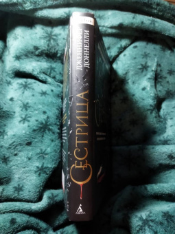 Дженнифер Доннелли: Сестрица