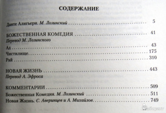 Данте Алигьери: Божественная Комедия. Новая Жизнь