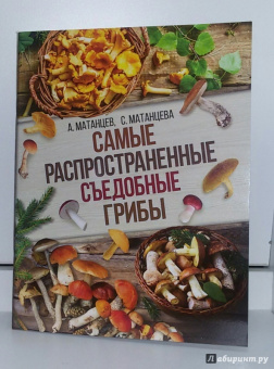 Матанцева, Матанцев: Самые распространенные съедобные грибы