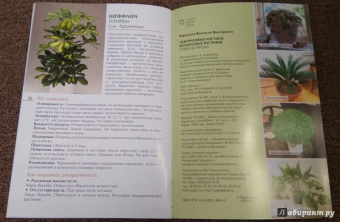 Валентин Воронцов: Секреты ухода. Декоративнолистные комнатные растений