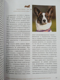 Ольга Шилова: Великолепные корги. Все о породах вельш-корги-пемброк и вельш-корги-кардиган