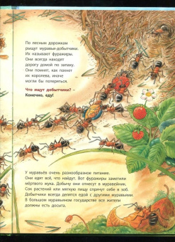 Фридерун Райхенштеттер: Где живёт муравьишка. Познавательные истории