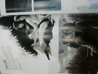 Брэдли, Бэйкир, Гросс: Мир игры The Last of Us Part II