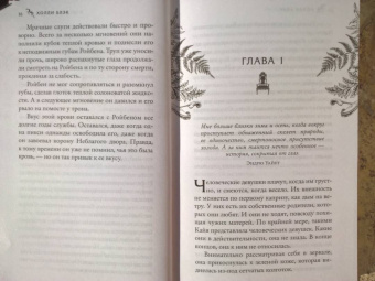 Холли Блэк: Истории фейри. Железные земли