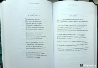 Среди печальных бурь. Из польской поэзии XIX-XX веков