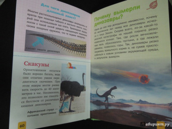 Дмитрий Кошевар: Динозавры