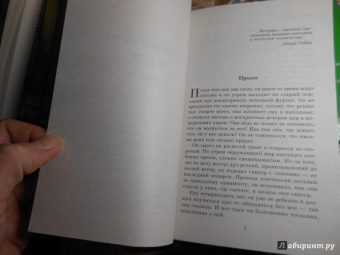 Энн Грэнджер: Где старые кости лежат