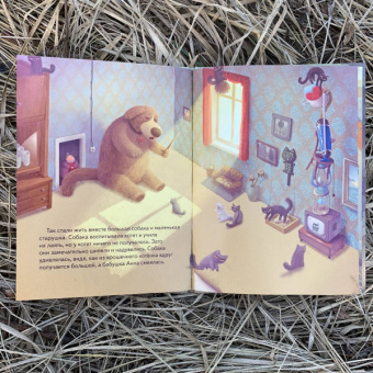 Елена Хаецкая: Кошачья фея и её собака