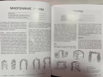 Татьяна Шиканян: Большая иллюстрированная энциклопедия ландшафтного дизайна
