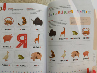 Ирина Мальцева: Буквы. Учимся уверенно узнавать буквы и слова. 5-6 лет