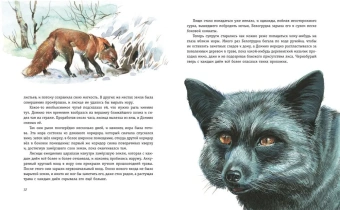 Эрнест Сетон-Томпсон: Рассказы о животных (ил. В. Канивца)