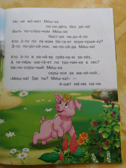 Ирина Шестакова: УЧ Шестакова. Непослушный поросёнок