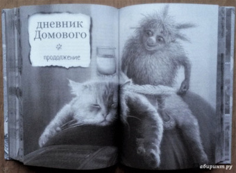 Евгений Чеширко: Дневник Домового