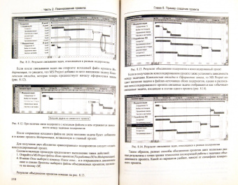 Алексей Гультяев: Microsoft Office Project  Professional 2003l. Управление проектами. Практическое пособие