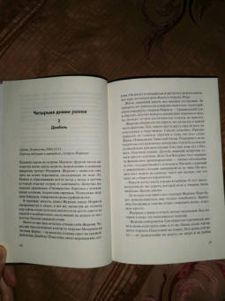 Мишель Бюсси: Безумство Мазарини