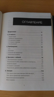 Сьюзан Гринфилд: Один день из жизни мозга. Нейробиология сознания от рассвета до заката