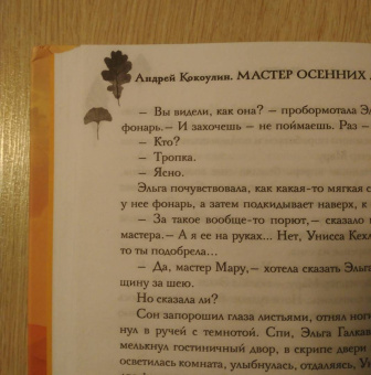 Андрей Кокоулин: Мастер осенних листьев