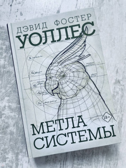 Дэвид Уоллес: Метла системы