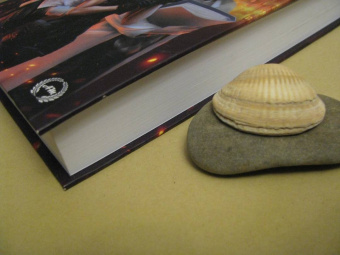 Анастасия Машевская: Эксперимент 19-W