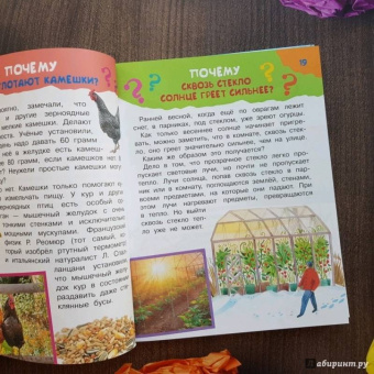 Владимир Малов: 100 тысяч зачем