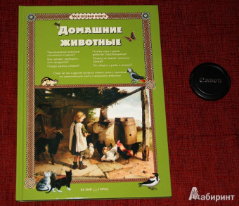 Светлана Лаврова: Домашние животные