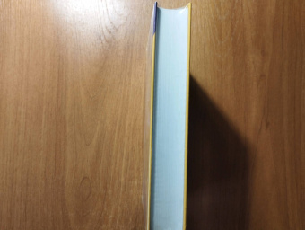 Ирвин Уэлш: Клей