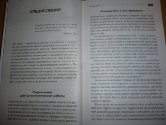 Геннадий Старшенбаум: Психолог-практик. Тренинг профессионального мастерства