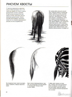 Ли Хэммонд: Учимся рисовать лошадей