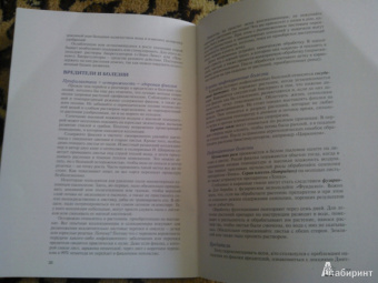 Татьяна Смирнова: Узамбарская фиалка. Как "приручить" чудо