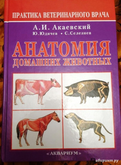 Акаевский, Юдичев, Селезнев: Анатомия домашних животных
