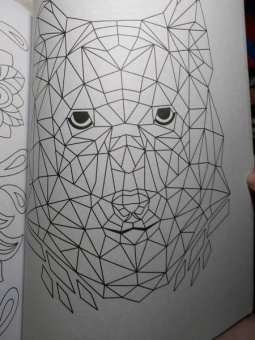 Раскраска-антистресс. Геометрические узоры