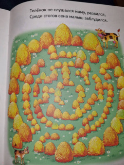 Елена Бортникова: Лабиринты. Для детей 4-5 лет