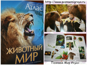 Бамбарадения, Вудрафф, Гинзберг: Животный мир. Иллюстрированный атлас