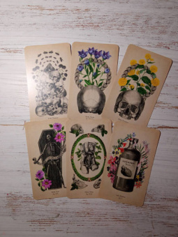 Клэр Гудчайлд: Antique Anatomy Tarot. Таро античной анатомии
