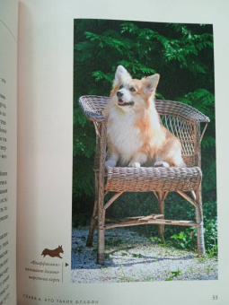 Ольга Шилова: Великолепные корги. Все о породах вельш-корги-пемброк и вельш-корги-кардиган