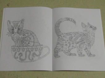 Линда Тейлор: Cats-7. Очаровательные котята. Творческая раскраска