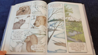 Юлия Мартыщенко: Медвежонок Фёдор. Путь домой