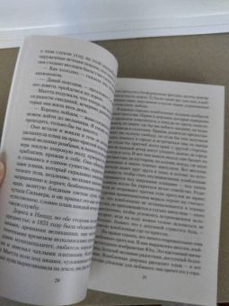 Эмиль Золя: Карьера Ругонов